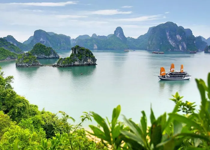 Hoa Son Hạ Long
