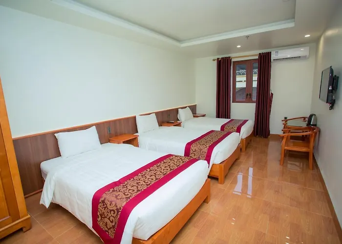 Hoa Son Hạ Long